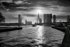 Franjo Hartmann: Erasmusbrug Rotterdam