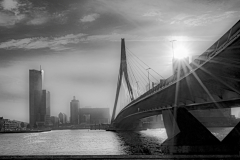 Franjo Hartmann: Erasmusbrug Rotterdam
