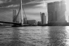 Franjo Hartmann: Erasmusbrug Rotterdam