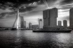 Franjo Hartmann: Erasmusbrug Rotterdam