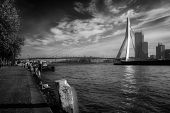Franjo Hartmann: Erasmusbrug Rotterdam
