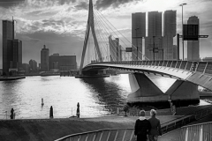 Franjo Hartmann: Erasmusbrug Rotterdam