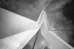 Franjo Hartmann: Erasmusbrug Rotterdam