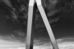 Franjo Hartmann: Erasmusbrug Rotterdam