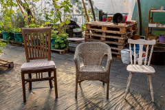 Herbert Rulf: Im Botanischen Garten Neuss