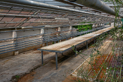 Herbert Rulf: Im Botanischen Garten Neuss
