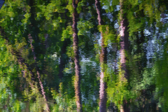 Reinhold Jung: Insel Hombroich