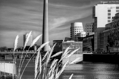 Franjo Hartmann: Ein Turm 12 Bilder