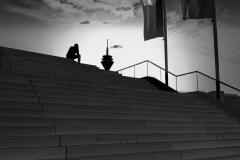 Franjo Hartmann: Ein Turm 12 Bilder