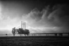 Bärbel Brechtel: Spaziergänge am Rheinufer in Oberkassel