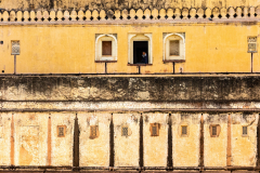 Gerry Gough: Rajasthan - Mellow Yellow