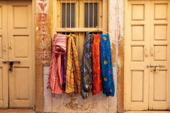 Gerry Gough: Rajasthan - Mellow Yellow