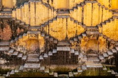Gerry Gough: Rajasthan - Mellow Yellow