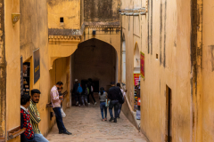 Gerry Gough: Rajasthan - Mellow Yellow