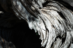 Christian Bochert: Naturgesichter