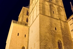 Tagesausflug Münster