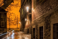 Tagesausflug Münster