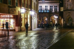 Tagesausflug Münster