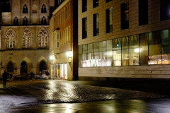 Tagesausflug Münster