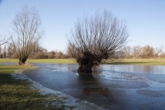 Heiner Ott Uedesheim