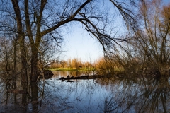 Heiner Ott Uedesheim
