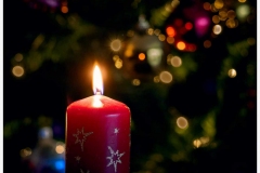 Platz 1 Monatsthema Januar O Tannenbaum: Gerry Gough