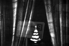Platz 2 Monatsthema Januar O Tannenbaum: Herbert Rulf