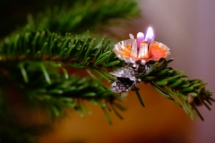 Platz 4 Monatsthema Januar O Tannenbaum: Dr.C.H. Bellinger