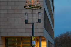 Platz 11 Monatsthema Januar O Tannenbaum: Herbert Rulf