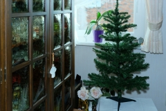 Platz 12 Monatsthema Januar O Tannenbaum: Ferdinand Ummelmann