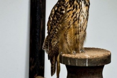 Hermann Josef Rottländer Wildpark Gangelt