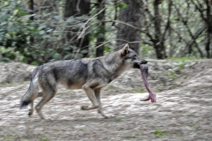Ingeborg Stöfer Wildpark Gangelt