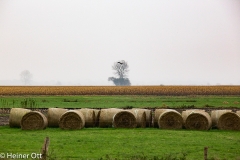 Worpswede