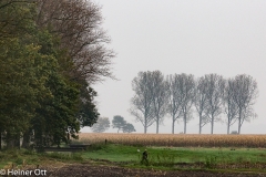 Worpswede