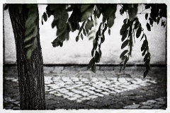 Herbert Rulf Zons